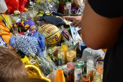 DSC_7177 (Large).JPG